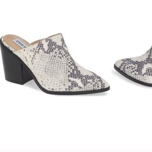 Steve Madden Sabina Mule